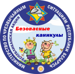 15 мая в республике стартует профилактическая акция «Безопасные каникулы»